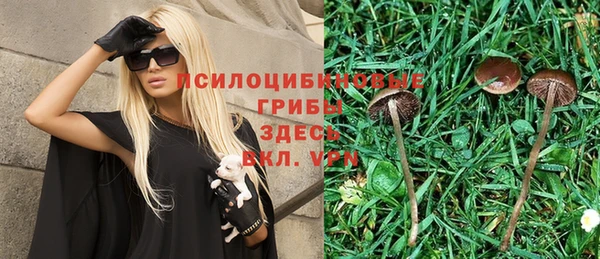 a pvp Бородино