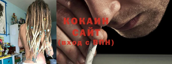 дживик Бронницы