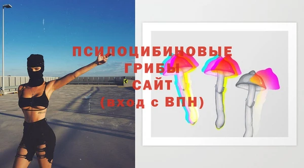 дживик Бронницы