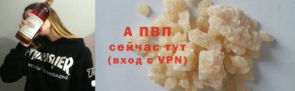 a pvp Бородино