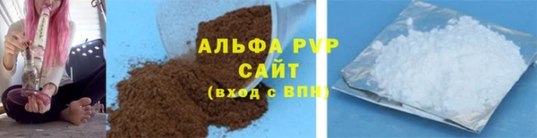 a pvp Бородино