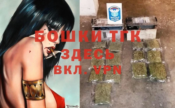 дживик Бронницы