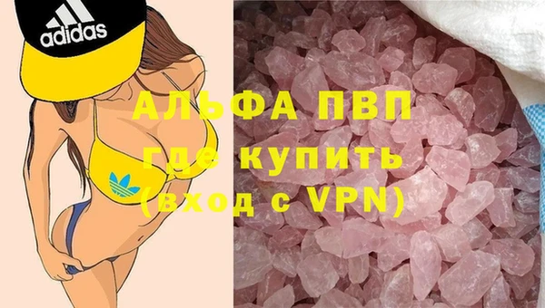 a pvp Бородино