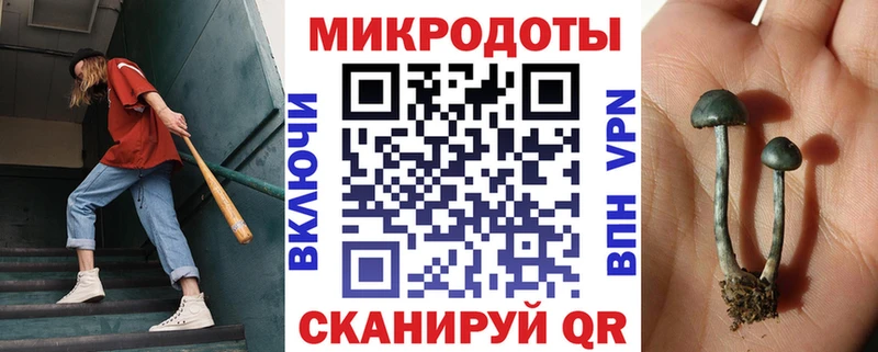 Купить где  Мамоново  Галлюциногенные грибы Psilocybine cubensis 